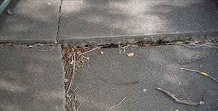 concrete slab settlement